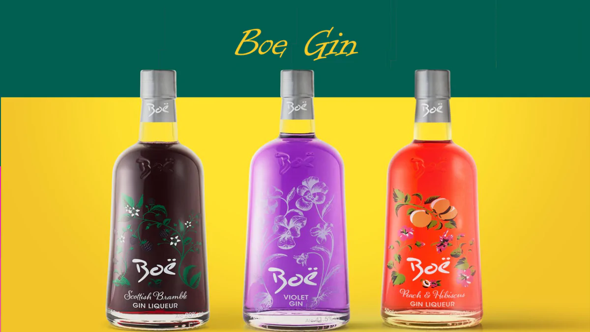 Gin Brands under Rs.3000 in India